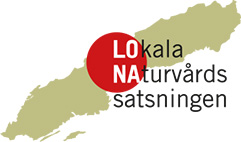 Logo LONA