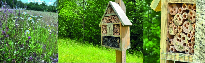 Bildkollage som visar en blommande ängsyta och ett insektshotell