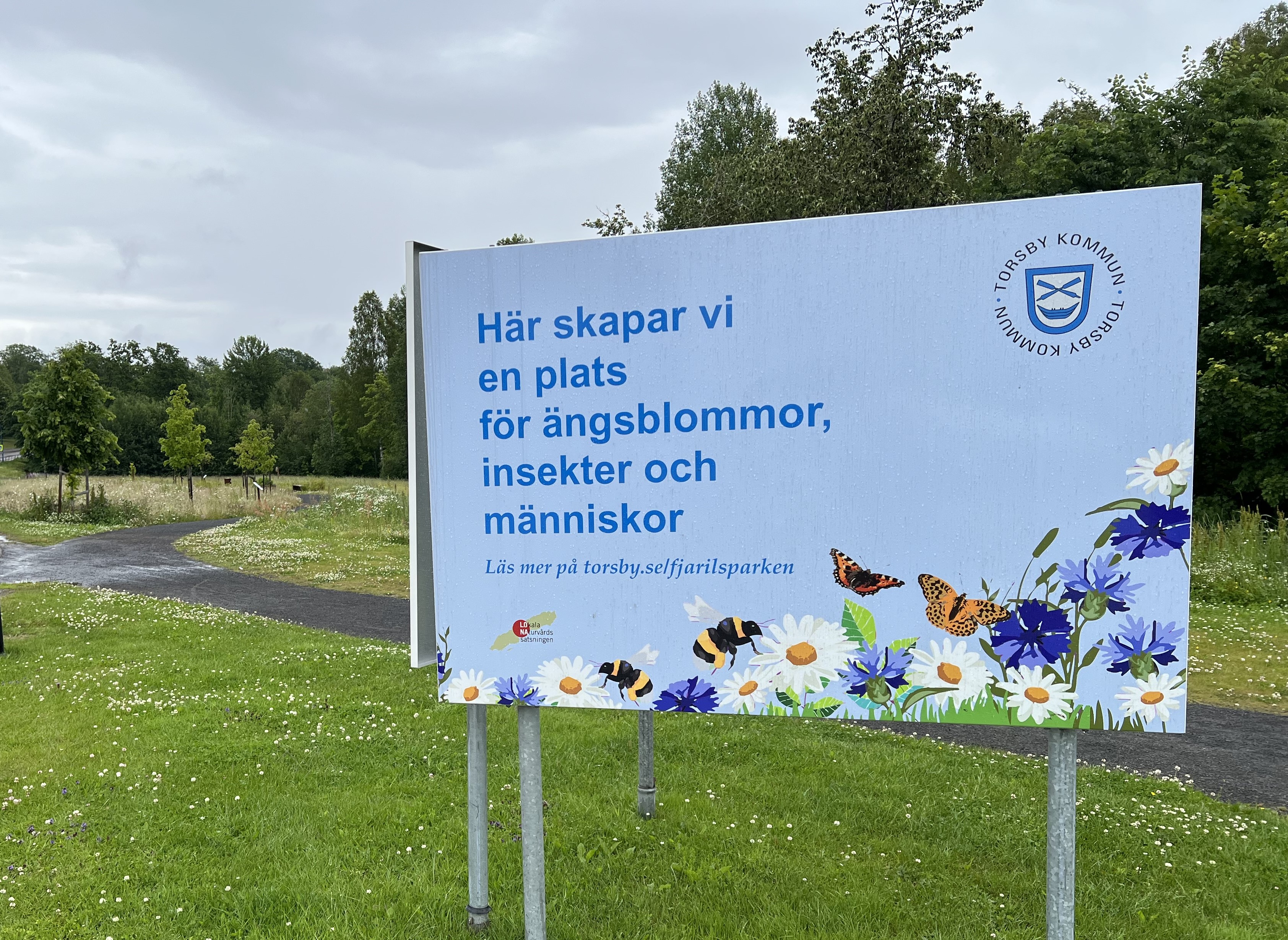 Bild där parkens stora informationsskylt syns i förgrunden och där blommande ängsmark och träd syns i bakgrunden.