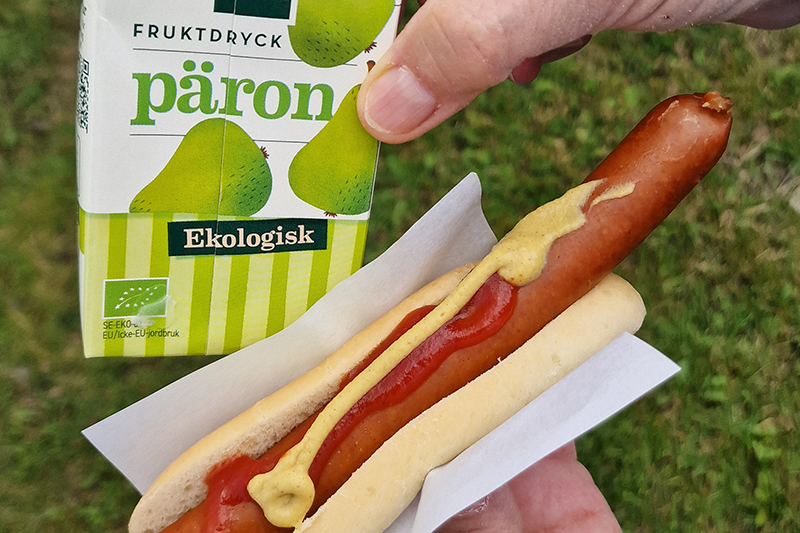 Korv i bröd och  en festis.
