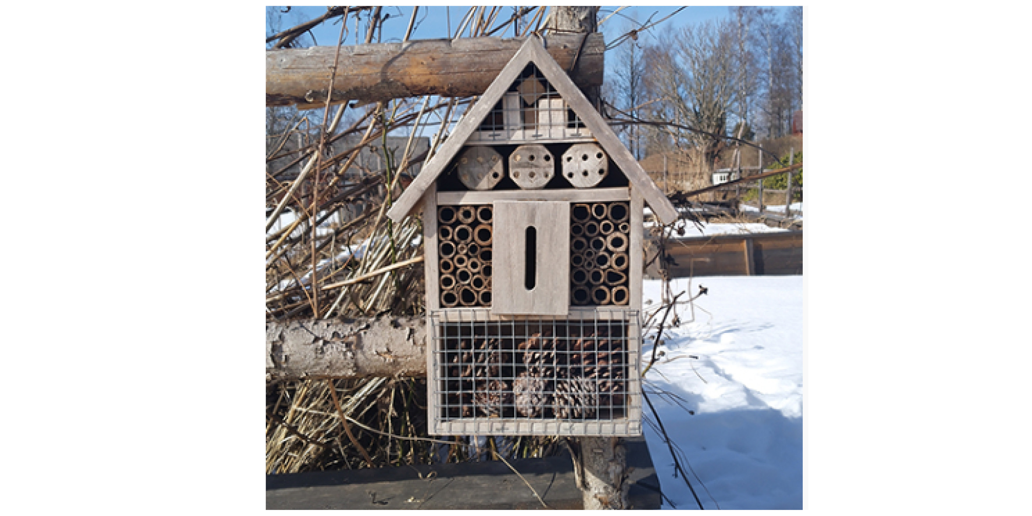 Picture of an insect hotel in a shape of a small house