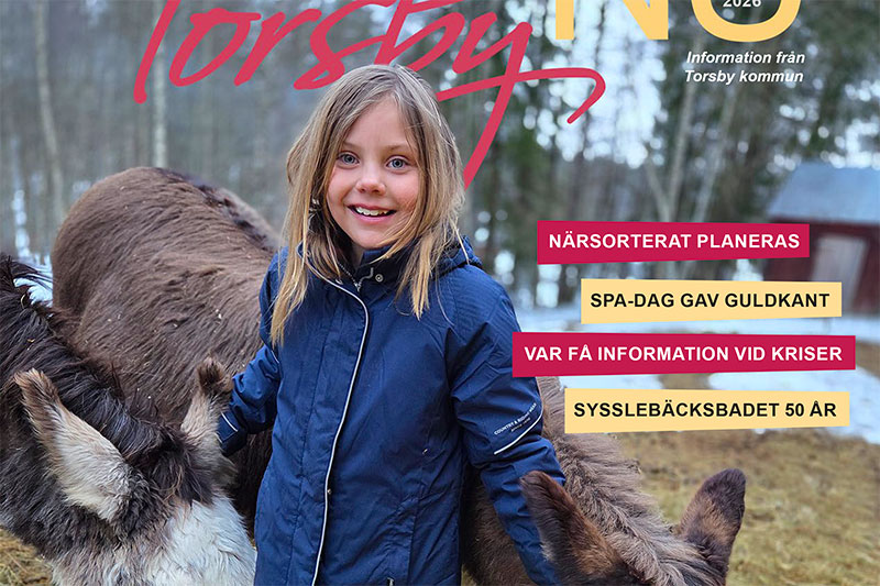 En flicka, två åsnor