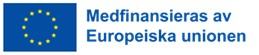 EU-loggan Sociala fonden